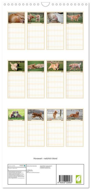 Produktbild: Familienplaner 2026 - Hovawart - nat&uuml;rlich blond mit 5 Spalten (Wandkalender, 21 x 45 cm) CALVENDO