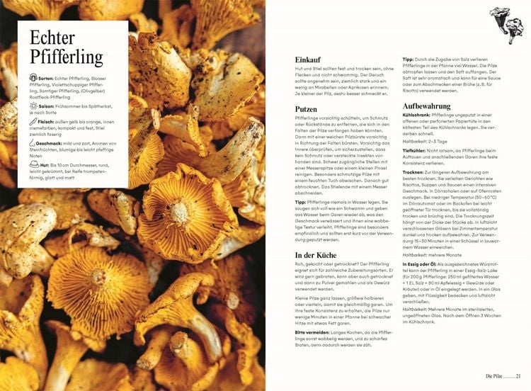 Produktbild: Pilze. Das Kochbuch
