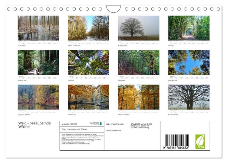 Produktbild: Wald - bezaubernde W&auml;lder (Wandkalender 2026 DIN A4 quer), CALVENDO Monatskalender