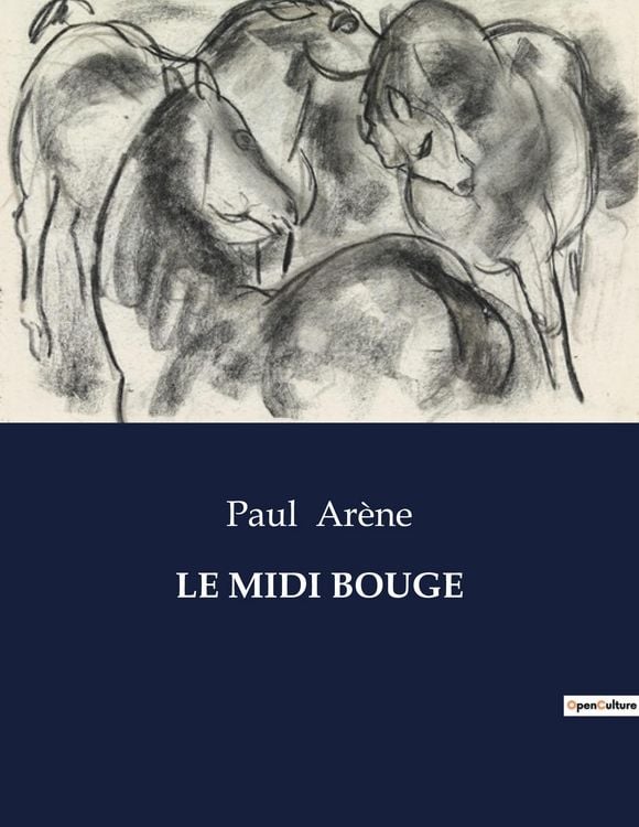 Produktbild: LE MIDI BOUGE