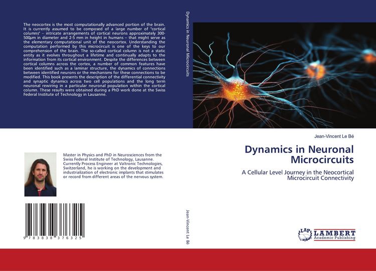 Produktbild: Dynamics in Neuronal Microcircuits