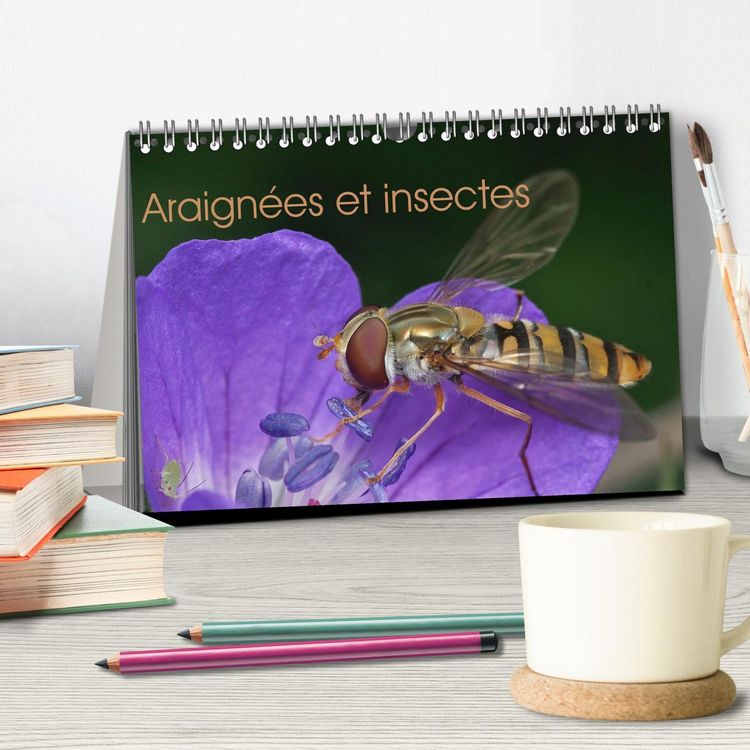 Produktbild: Araign&eacute;es et insectes (Calendrier de bureau 2026 DIN A5 vertical), CALVENDO calendrier mensuel