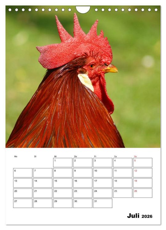 Produktbild: H&uuml;hner Terminplaner (Wandkalender 2026 DIN A4 hoch), CALVENDO Monatskalender