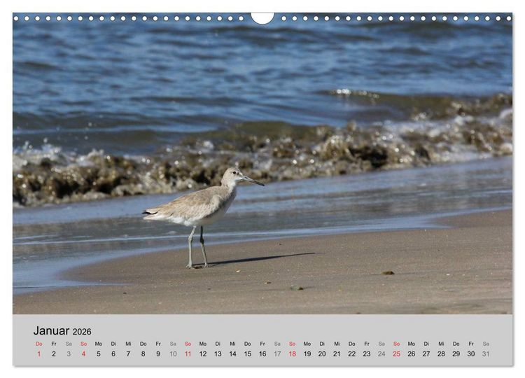Produktbild: Costa Rica (Wandkalender 2026 DIN A3 quer), CALVENDO Monatskalender