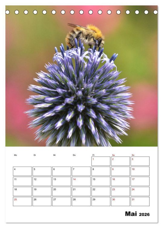 Produktbild: Hummeln und Bienen Terminplaner (Tischkalender 2026 DIN A5 hoch), CALVENDO Monatskalender