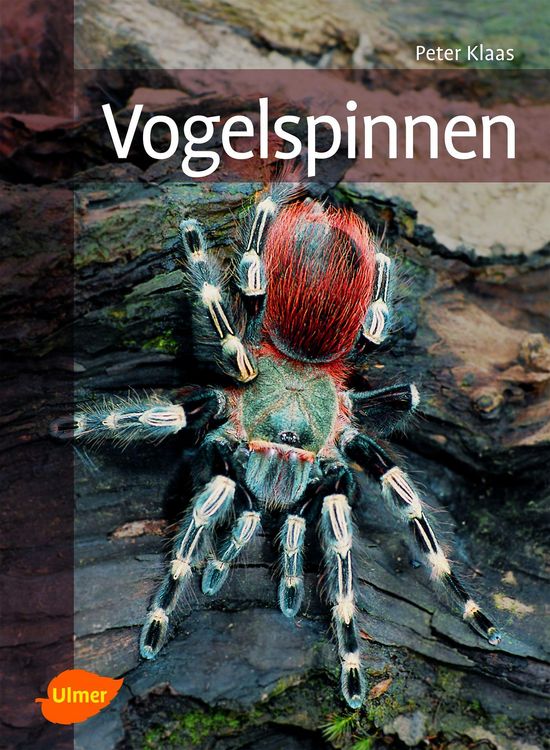 Produktbild: Vogelspinnen