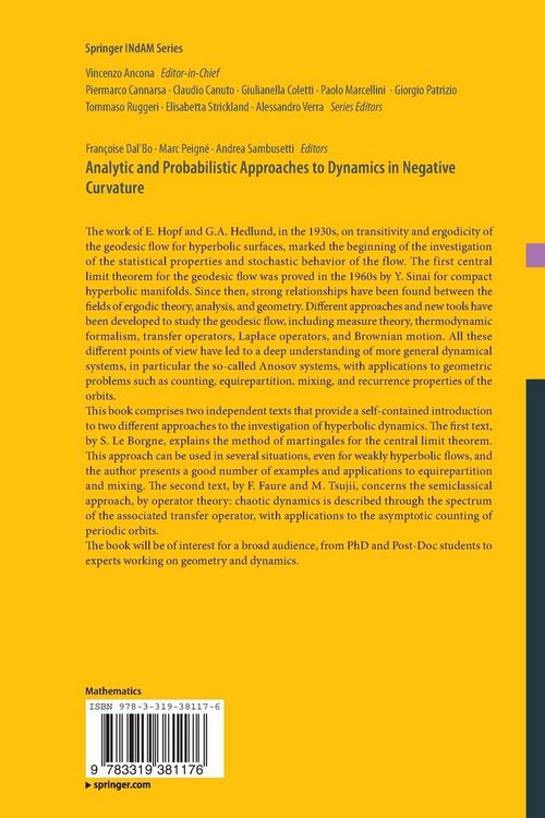 Produktbild: Analytic and Probabilistic Approaches to Dynamics in Negative Curvature