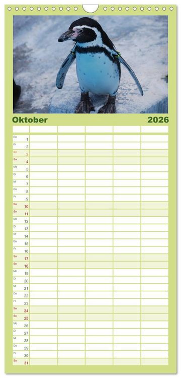Produktbild: Familienplaner 2026 - Pinguine 2026 mit 5 Spalten (Wandkalender, 21 x 45 cm) CALVENDO
