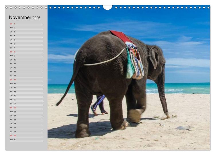Produktbild: Elefanten. Spa&szlig; am Wasser (Wandkalender 2026 DIN A3 quer), CALVENDO Monatskalender