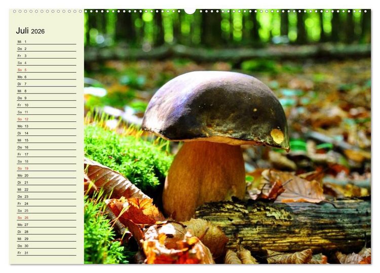 Produktbild: Pilze und Pilzgerichte (hochwertiger Premium Wandkalender 2026 DIN A2 quer), Kunstdruck in Hochglanz