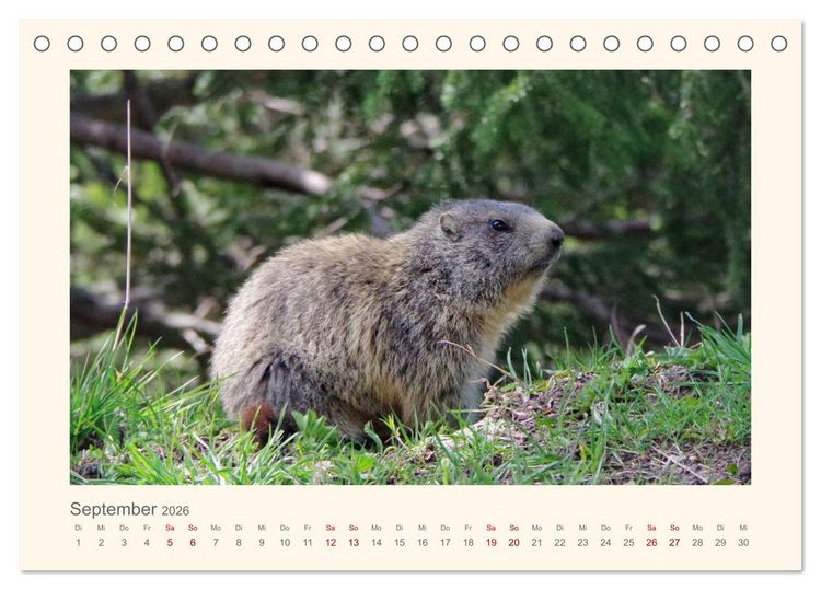 Produktbild: Alpen Blick (Tischkalender 2026 DIN A5 quer), CALVENDO Monatskalender