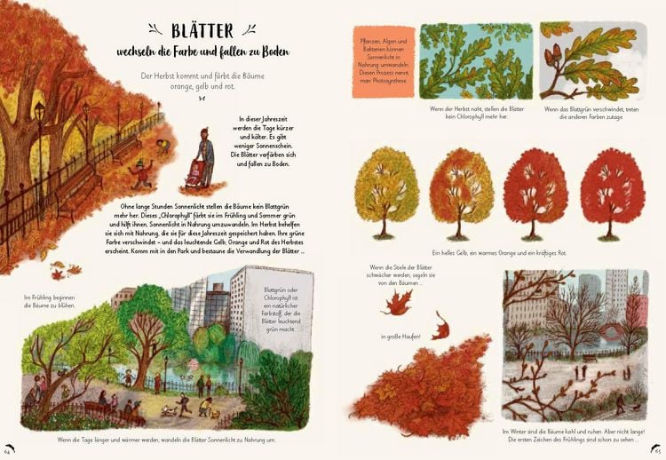 Produktbild: Wunder der Natur zum Innehalten und Staunen