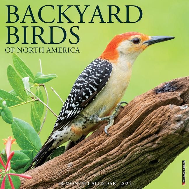 Produktbild: Willow Creek Press: Backyard Birds 2024 12 X 12 Wall Calenda