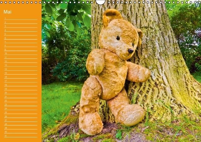 Produktbild: Einfach zum Knuddeln / Geburtstagskalender (Wandkalender immerw&auml;hrend DIN A3 quer)