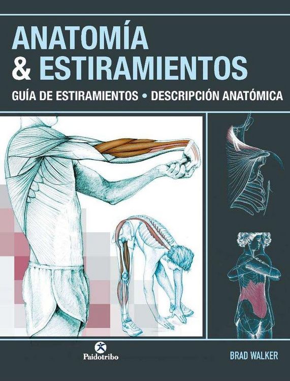 Produktbild: Anatom&iacute;a & estiramientos : gu&iacute;a de estiramientos : descripci&oacute;n anat&oacute;mica