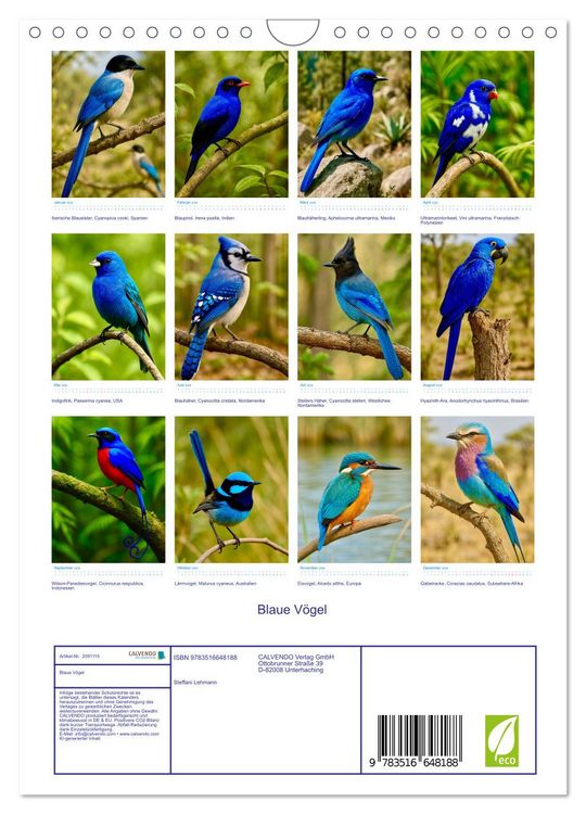 Produktbild: Blaue V&ouml;gel (Wandkalender 2026 DIN A4 hoch), CALVENDO Monatskalender