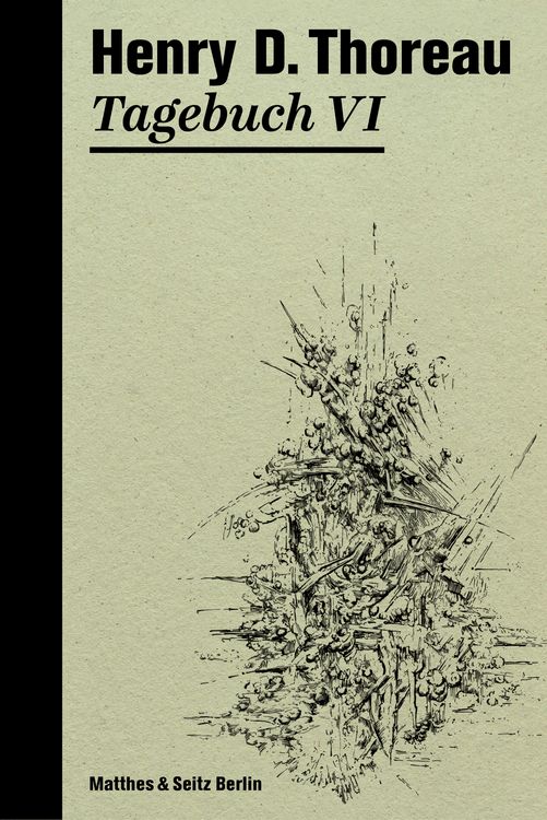 Produktbild: Tagebuch VI