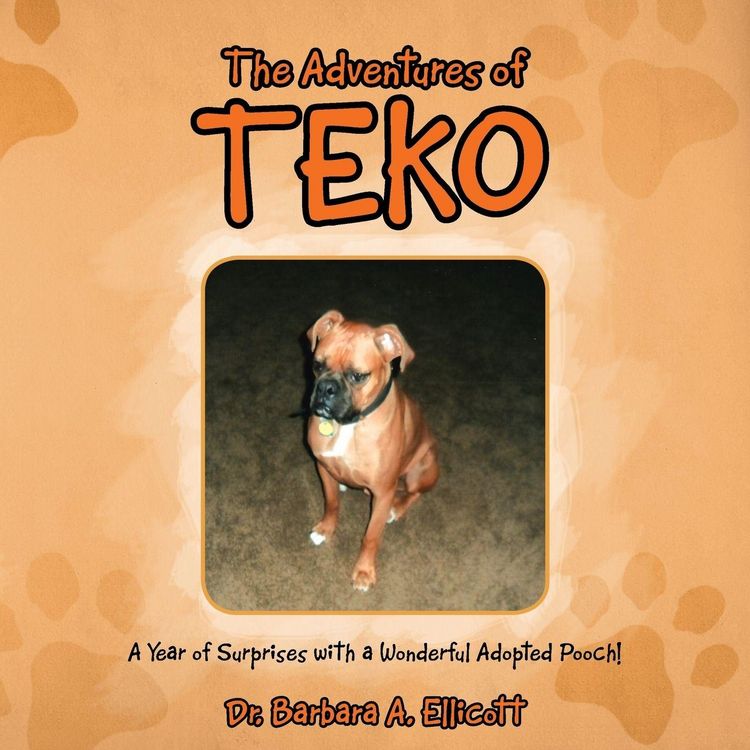 Produktbild: The Adventures of Teko
