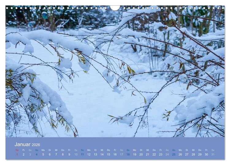 Produktbild: Gartenfl&uuml;stern (Wandkalender 2026 DIN A3 quer), CALVENDO Monatskalender