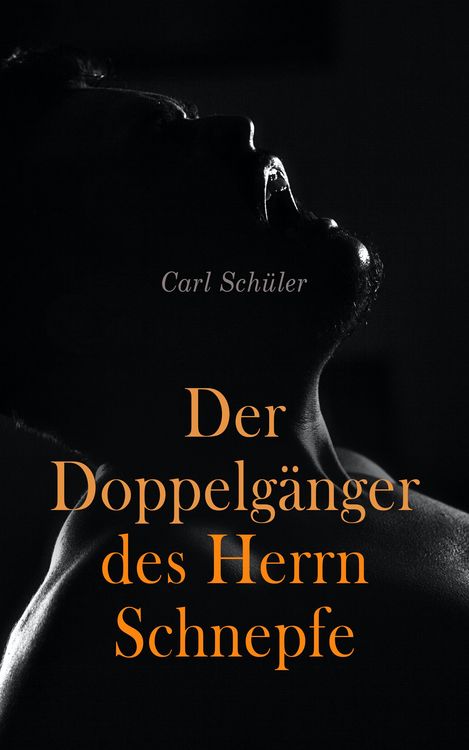 Produktbild: Der Doppelg&auml;nger des Herrn Schnepfe
