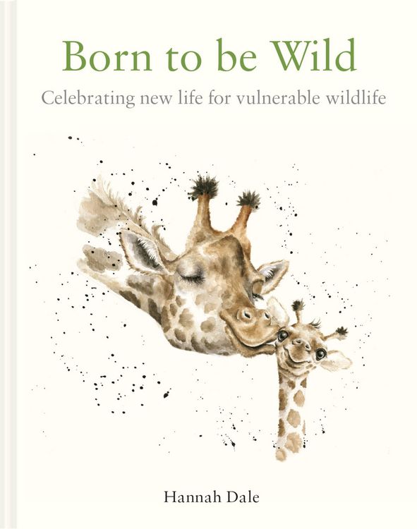Produktbild: Born to be Wild