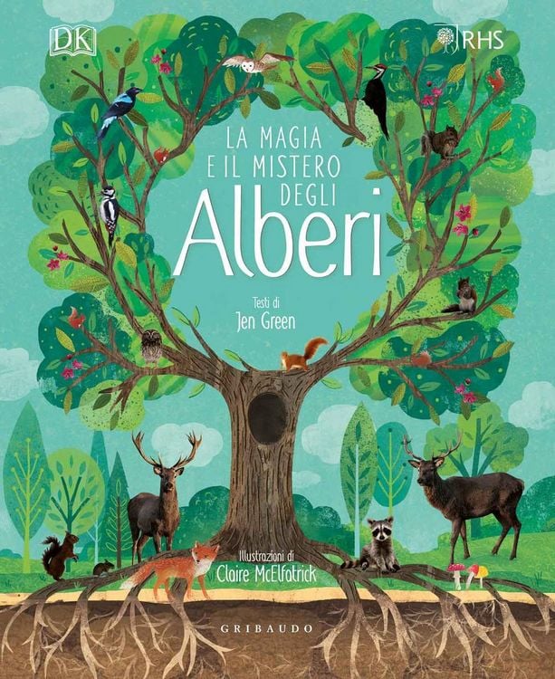 Produktbild: DK La magia e il mistero degli alberi
