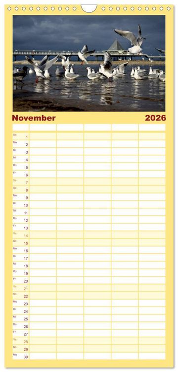 Produktbild: Familienplaner 2026 - Usedom 2026 Rendezvous zwischen Ahlbeck und Heringsdorf mit 5 Spalten (Wandkalender, 21 x 45 cm) CALVENDO