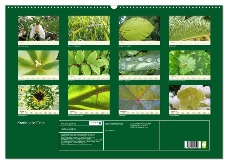 Produktbild: Kraftquelle Gr&uuml;n (Wandkalender 2026 DIN A2 quer), CALVENDO Monatskalender