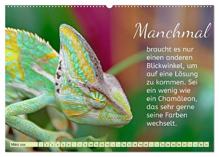 Produktbild: Der Spruchkalender - Inspirationen (hochwertiger Premium Wandkalender 2026 DIN A2 quer), Kunstdruck in Hochglanz