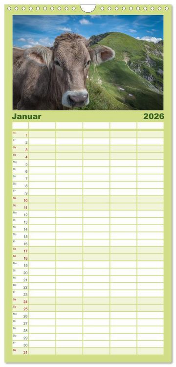 Produktbild: Familienplaner 2026 - Oberallg&auml;u - Oberstdorf und Umgebung mit 5 Spalten (Wandkalender, 21 x 45 cm) CALVENDO