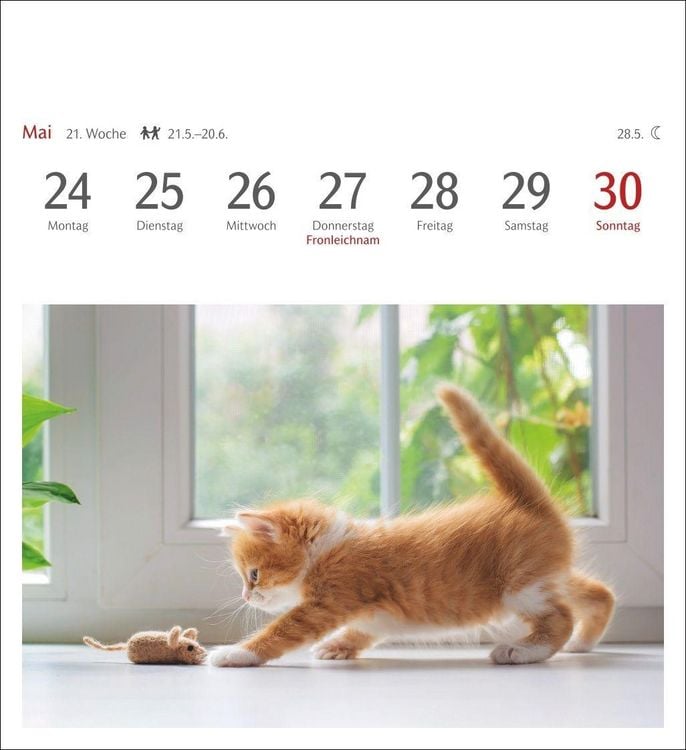 Produktbild: Katzen Postkartenkalender 2027 - Wochenkalender mit 53 Postkarten