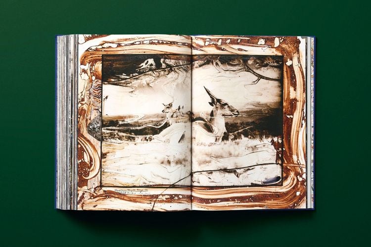 Produktbild: Peter Beard