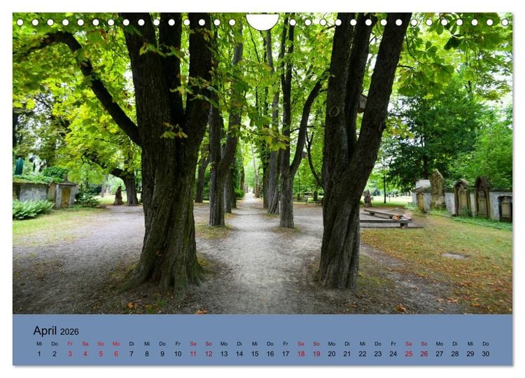 Produktbild: Wundervolles Freiburg (Wandkalender 2026 DIN A4 quer), CALVENDO Monatskalender