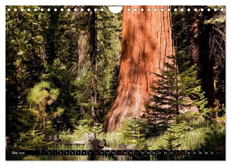 Produktbild: Yosemite - USA (Wandkalender 2026 DIN A4 quer), CALVENDO Monatskalender