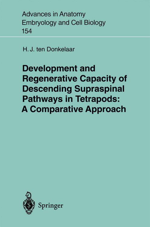 Produktbild: Development and Regenerative Capacity of Descending Supraspinal Pathways in Tetrapods