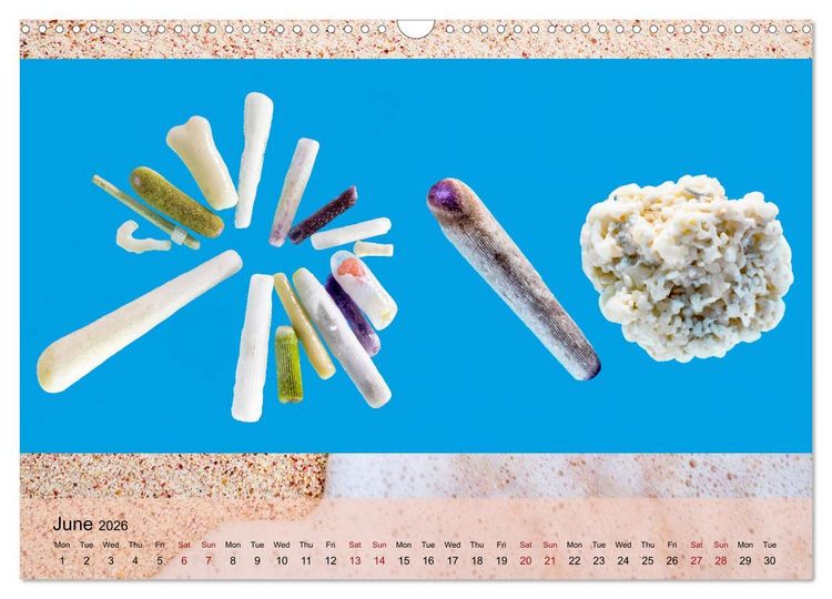 Produktbild: bermuda pink (Wall Calendar 2026 DIN A3 landscape), CALVENDO 12 Month Wall Calendar