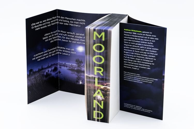 Produktbild: Moorland. Die Zwillinge
