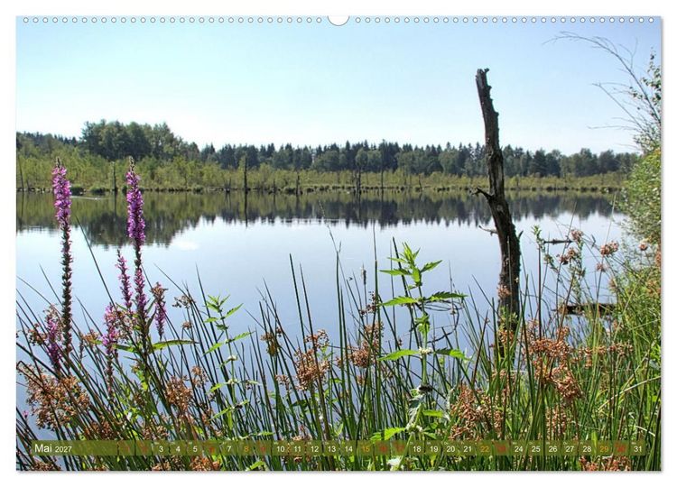 Produktbild: Das Regenmoor auf der Baar (hochwertiger Premium Wandkalender 2027 DIN A2 quer), Kunstdruck in Hochglanz