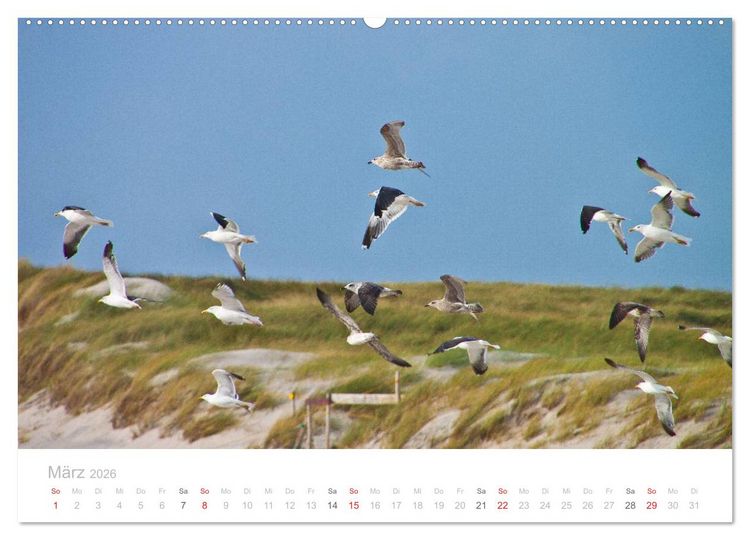 Produktbild: Sylt im Herbst (Wandkalender 2026 DIN A2 quer), CALVENDO Monatskalender