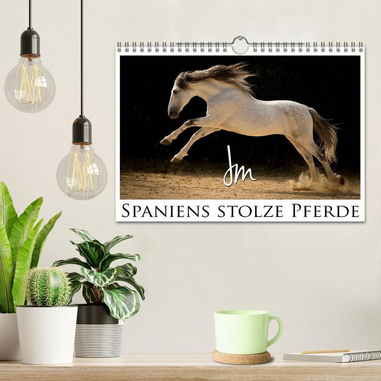 Produktbild: Spaniens stolze Pferde (Wandkalender 2026 DIN A4 quer), CALVENDO Monatskalender