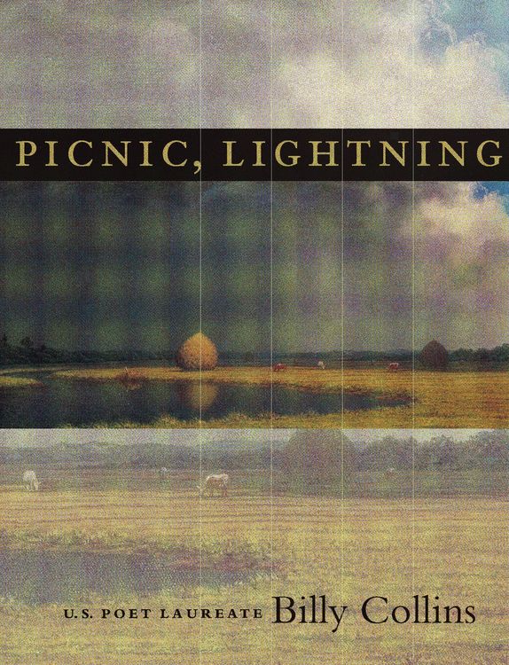 Produktbild: Picnic, Lightning
