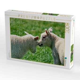Produktbild: CALVENDO Puzzle junge Texelscharpie | 2000 Teile Lege-Gr&ouml;&szlig;e 90x67cm Foto-Puzzle f&uuml;r gl&uuml;ckliche Stunden