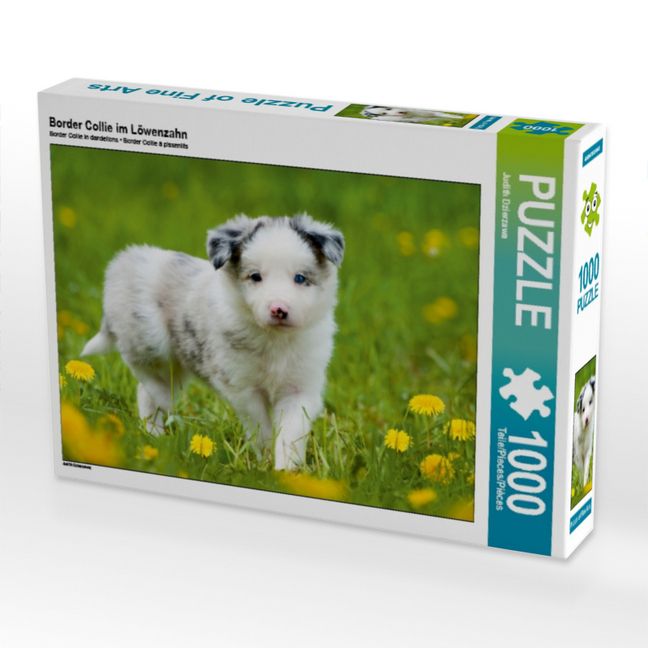 Produktbild: CALVENDO Puzzle Border Collie im L&ouml;wenzahn | 1000 Teile Lege-Gr&ouml;&szlig;e 64x48cm Foto-Puzzle f&uuml;r gl&uuml;ckliche Stunden