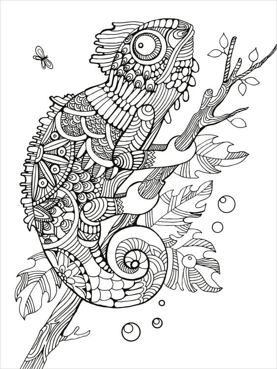 Produktbild: Mein Mandala-Tier-Malbuch &ndash; Im Paradies der Tiere