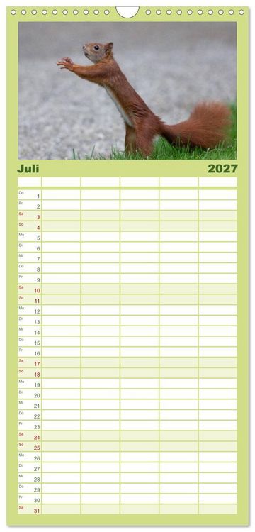 Produktbild: Familienplaner 2027 - Mit dem Eichh&ouml;rnchen durchs Jahr mit 5 Spalten (Wandkalender, 21 x 45 cm) CALVENDO