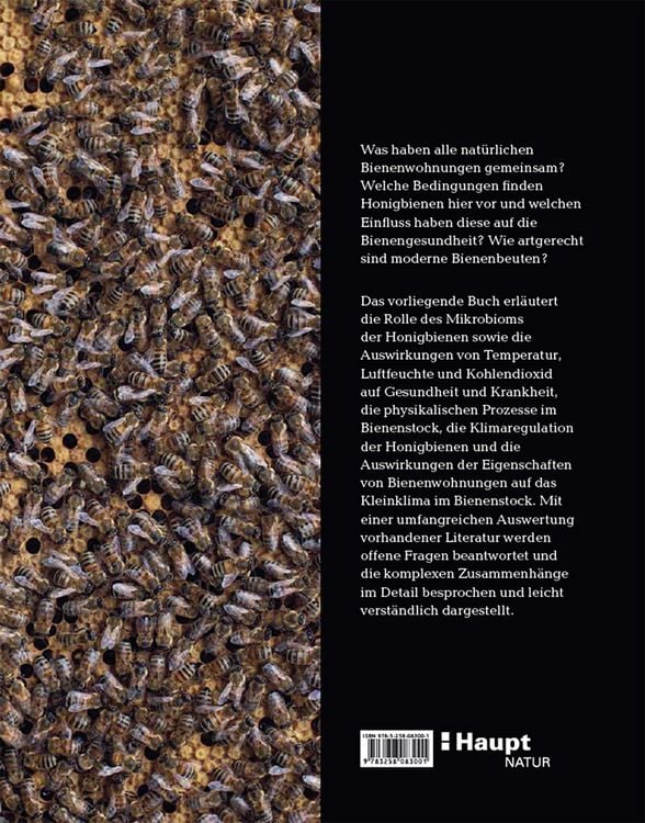 Produktbild: Bienenbau und Bienenbeute