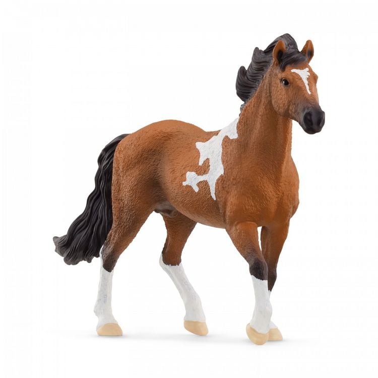 Produktbild: schleich&reg; Horse Club Mangalarga Marchador Hengst 11,3cm