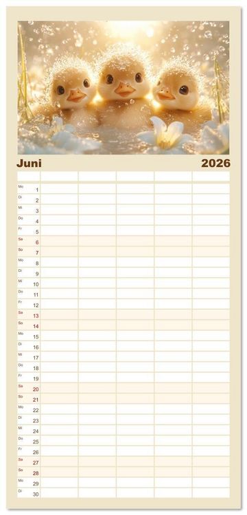 Produktbild: Familienplaner 2026 - Augen wie Kn&ouml;pfe mit 5 Spalten (Wandkalender, 21 x 45 cm) CALVENDO