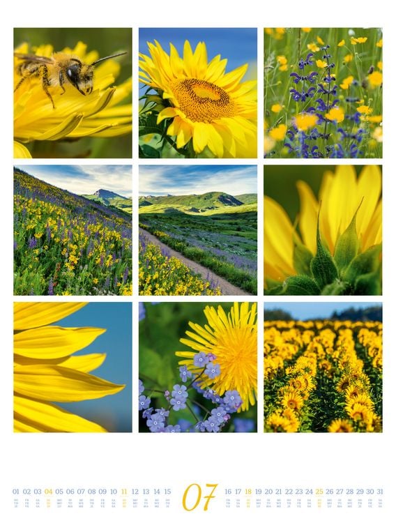 Produktbild: Inspiration Natur Kalender 2027