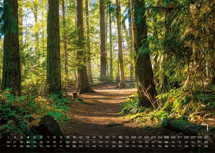 Produktbild: Wald - Erholung f&uuml;r Mensch und Tier - 2027 - Kalender DIN A3